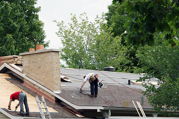 Best Roof Gutter Cleaning  in Chester, CA